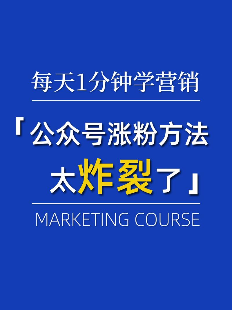 公众号投票加粉丝_公众号投票涨粉_投票公众丝粉加号什么意思
