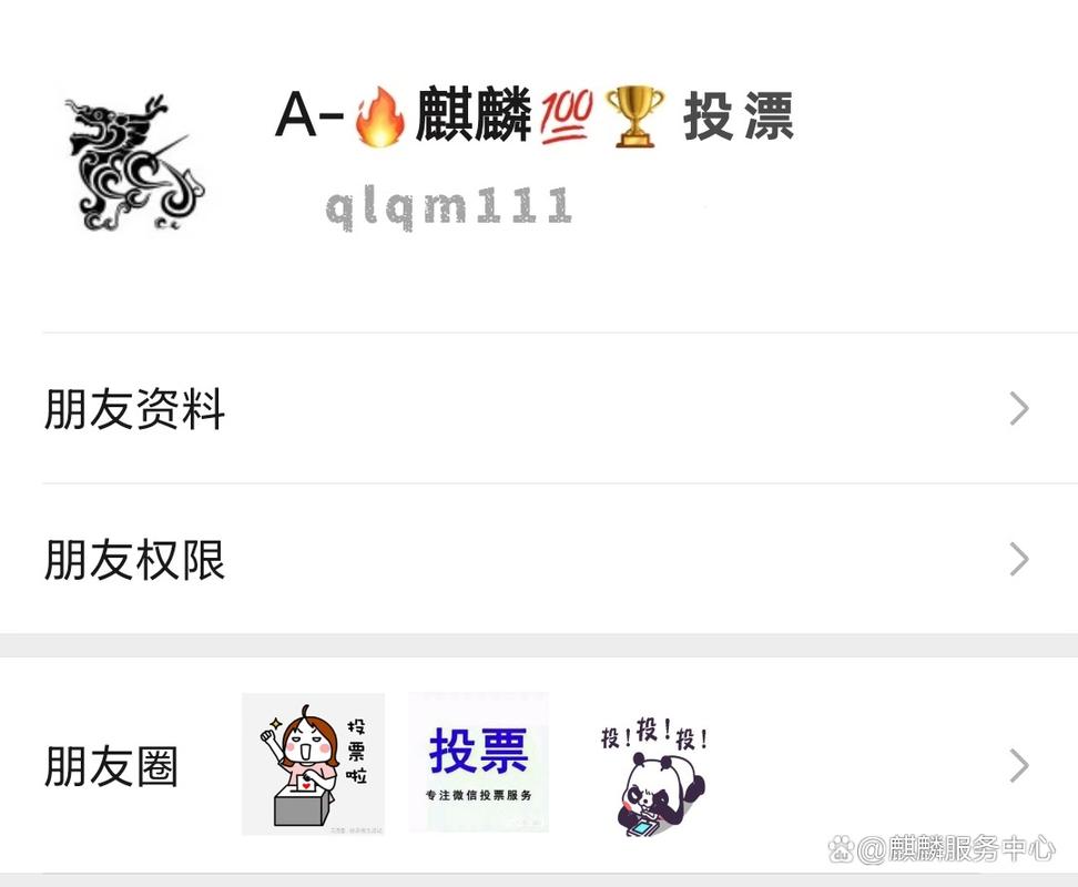 人工投票价格大揭秘！微信、网页、APP内投票差异几何？