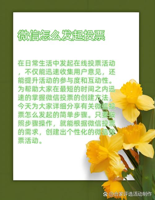 想参与投票活动？教你如何快速在微信里找到投票小程序