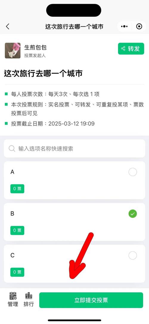 能确保隐私的投票应用，究竟藏着怎样的秘密？功能超强大