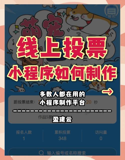 人工投票20块_24小时人工投票_投票人工刷票会被发现吗