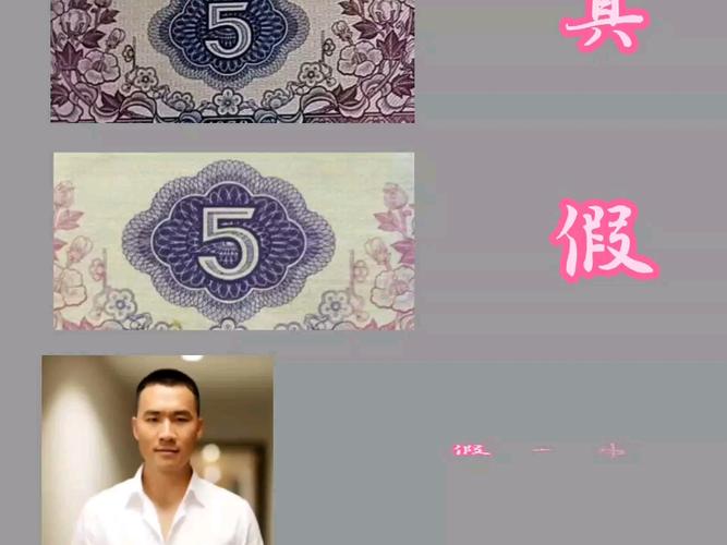 人工投票怎么做的_人工投票20块钱1_人工投票是刷票吗